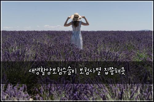 새생활암보험수술비 보험사별 집쯍해욧