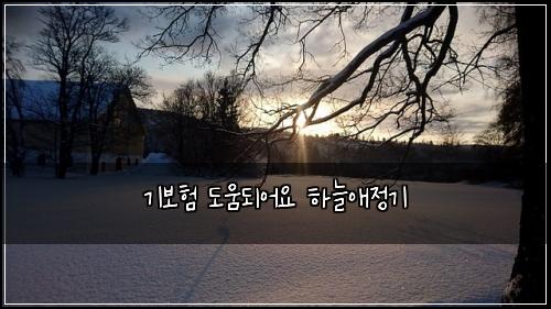 기보험 도움되어요  하늘애정기