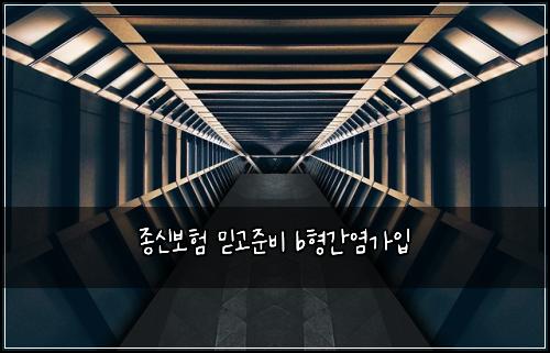 종신보험 믿고준비  b형간염가입