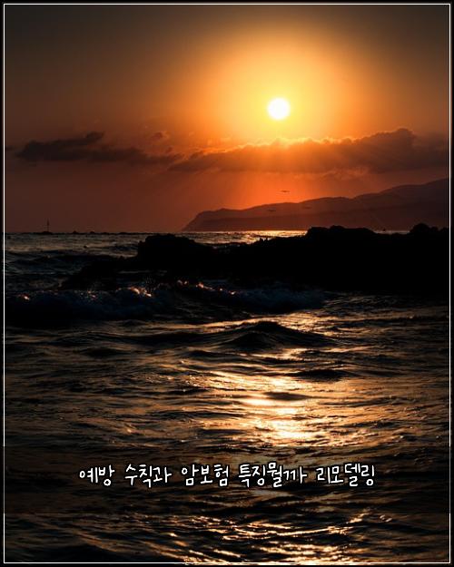 예방 수칙과 암보험 특징뭘까  리모델링