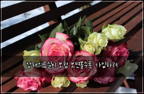 ์ํด์๋ฃ์ค๋น ๋ณดํ ๋ณด๋ฉด๋ณผ์๋ก ๊ฐ์
ํ๋ ค