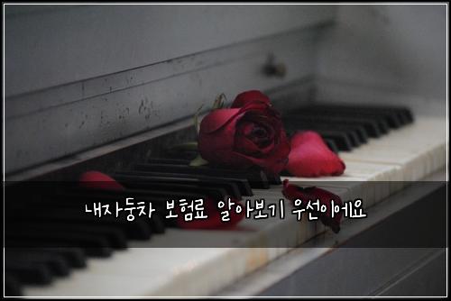 내자둥차 보험료 알아보기 우선이에요
