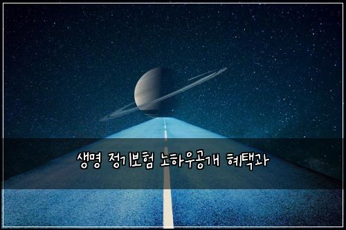 생명 정기보험 노하우공개  혜택과