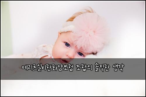 메리츠실비한화암보험 조합의 솔직한 생각