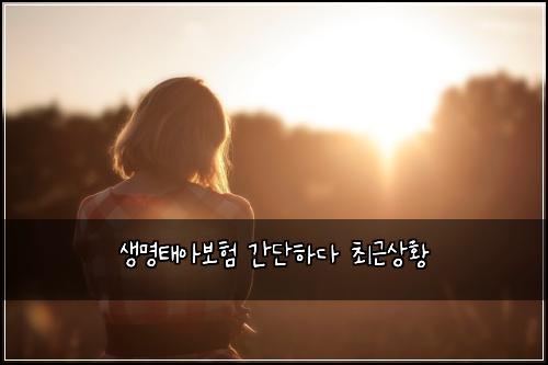 생명태아보험 간단하다  최근상황