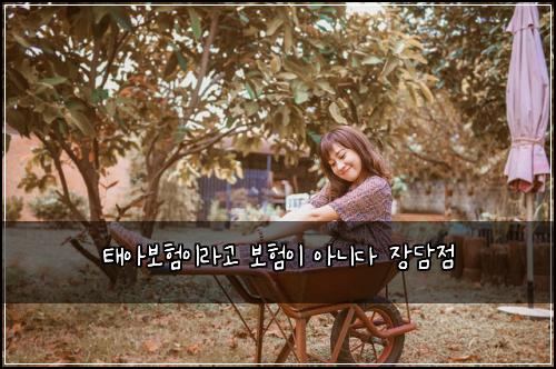 태아보험이라고 보험이 아니다 장담점