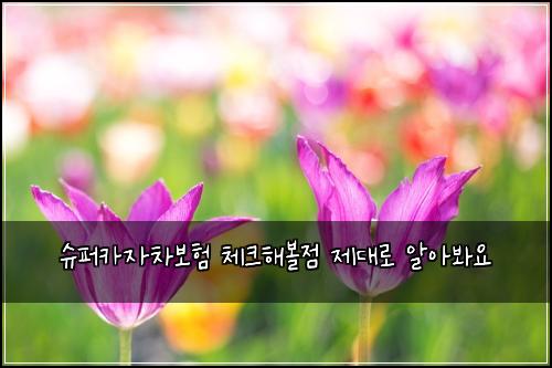์ํผ์นด์์ฐจ๋ณดํ ์ฒดํฌํด๋ณผ์ ์ ๋๋ก ์์๋ด์